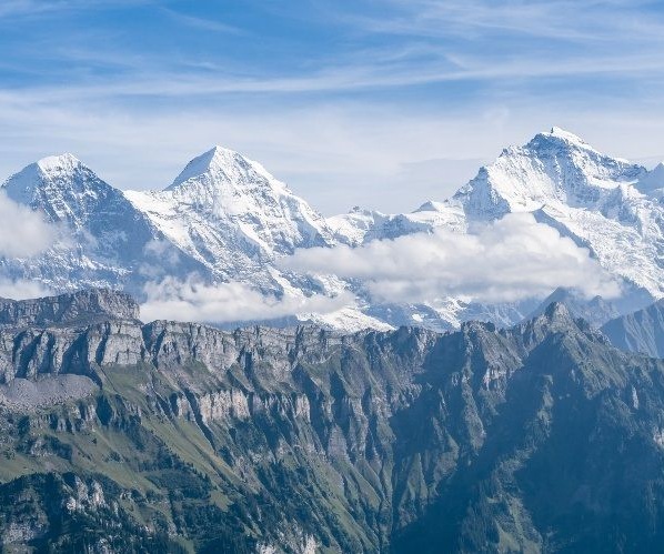 Mejores lugares para ver cabras en su hábitat natural: Alpes Suizos