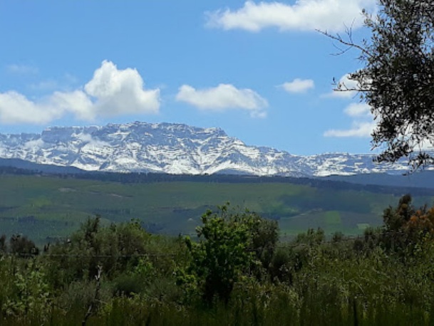 Mejores lugares para ver cabras: Montañas del Atlás